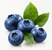 Bilberry ingredient illustration